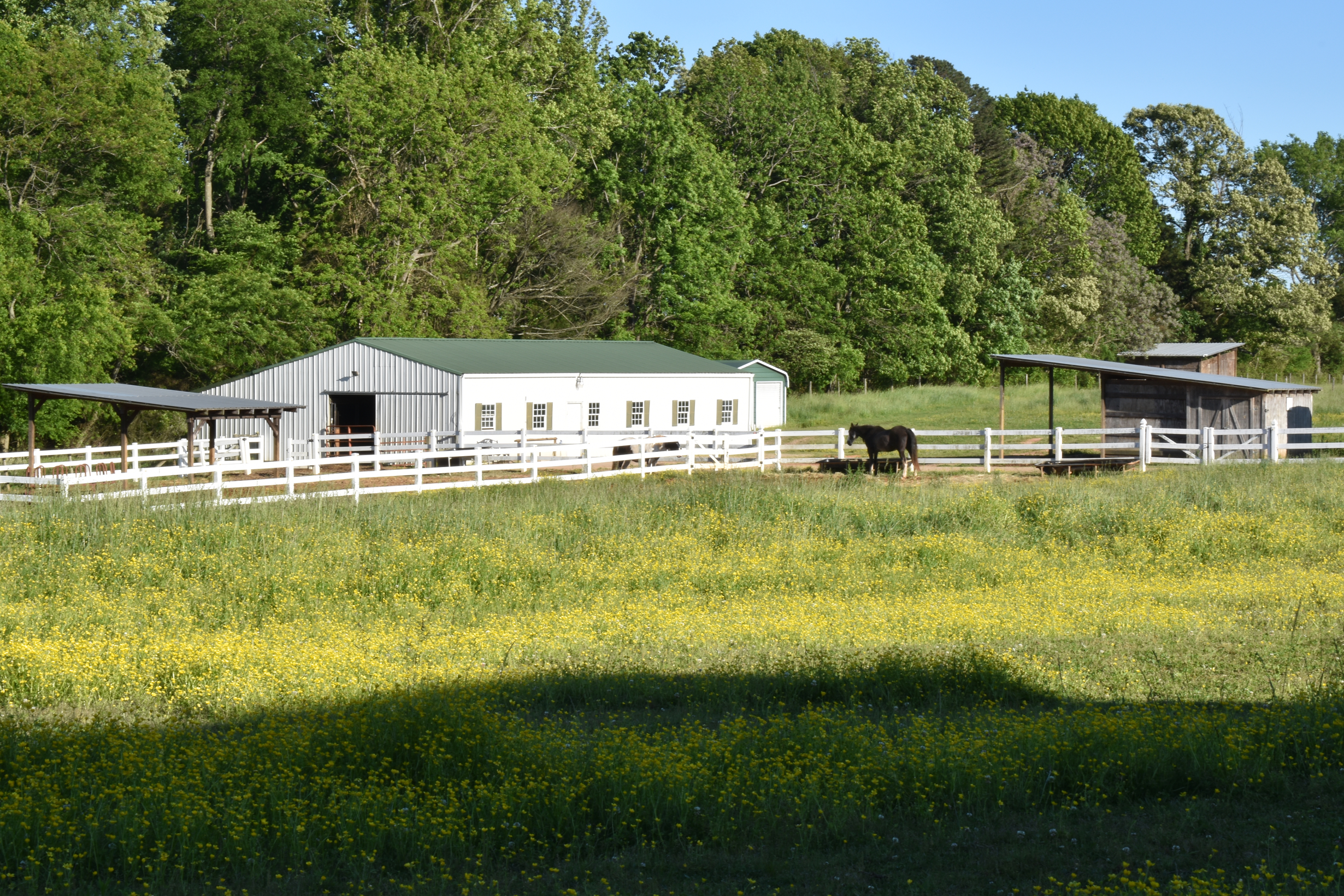 Pasture View