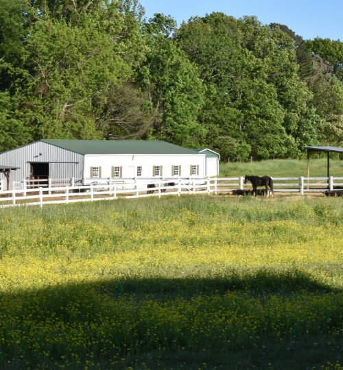 Pasture View